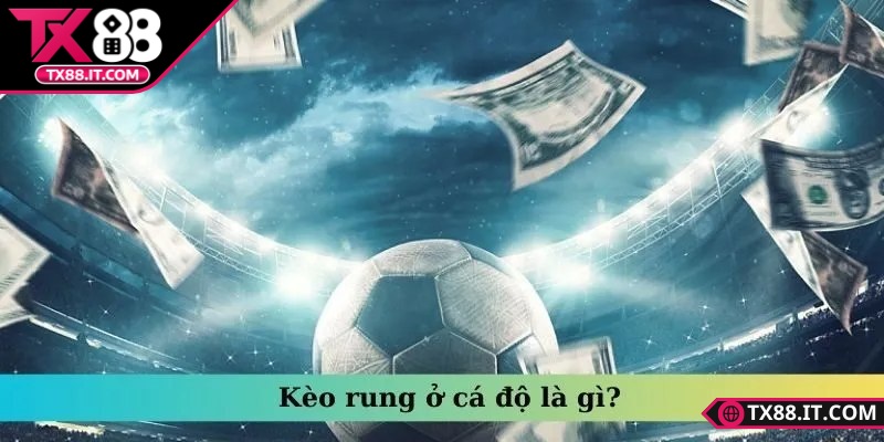 Hướng dẫn cách đọc kèo rung cho người mới TX88 dễ hiểu Người chơi nên chia số vốn nhỏ để chơi hiệu quả